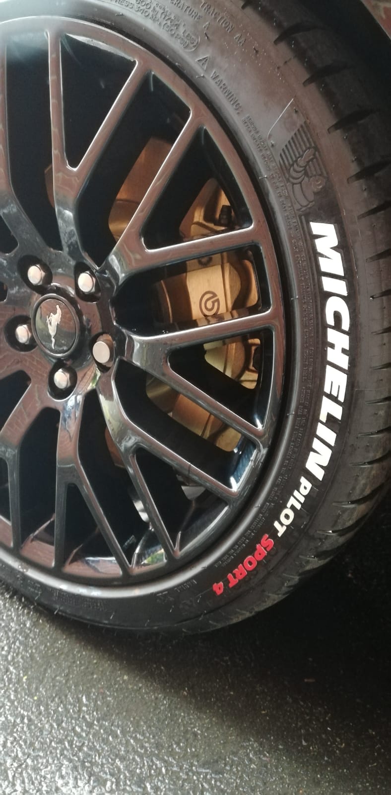 MICHELIN Pilot Sport 4 Reifenaufkleber